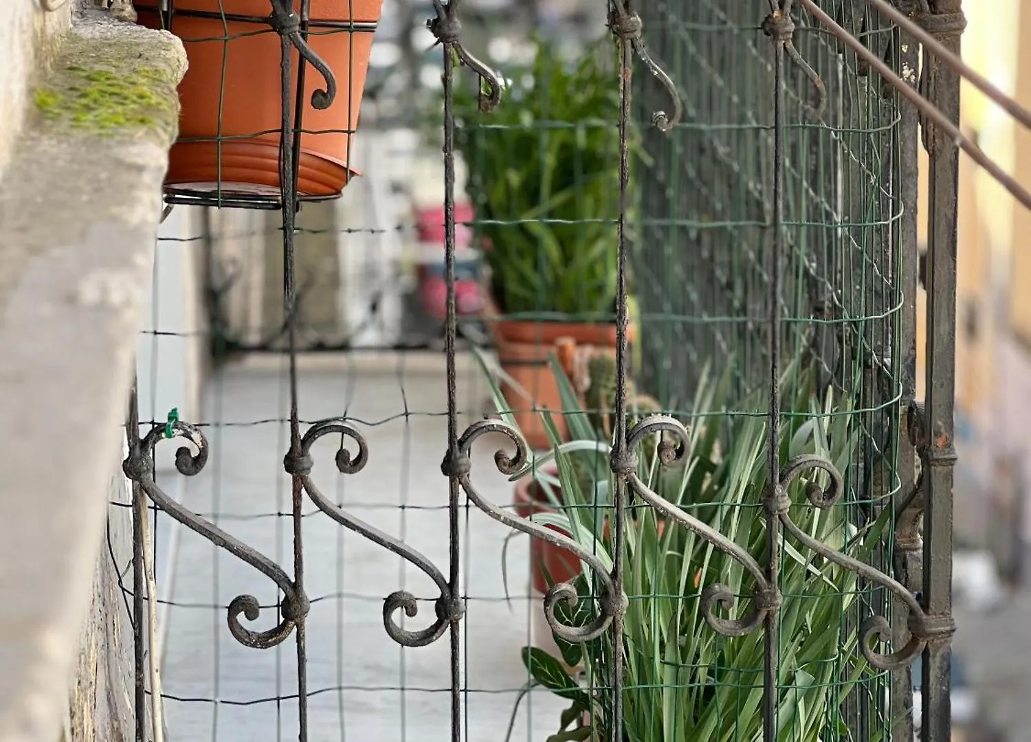Bruno House Bed & Breakfast Naples